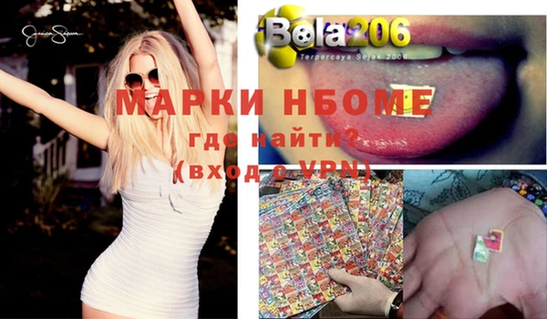 прущие грибы Алзамай