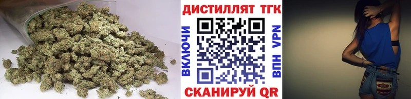 как найти Луза Дистиллят ТГК концентрат